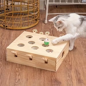 Kedi Fare Oyuncağı 5 Delikli