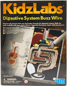 4M Sindirim Sistemi 3386 (Digestive System Buzz Wire)