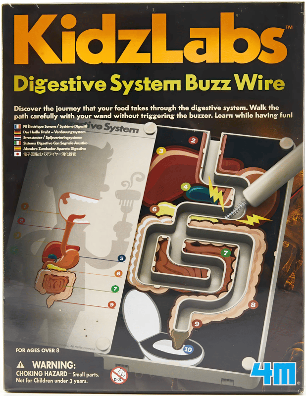 4M Sindirim Sistemi 3386 (Digestive System Buzz Wire)